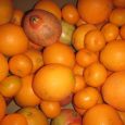 El nostre company Xavi del País Valencià, productor de taronges bio, ha vingut al Casal el dissabte 19 de novembre per presentar els seus productes ecològics de la Valldigna: taronges, mandarines, llimones, alvocats, mel, pol·len, melmelades, […]