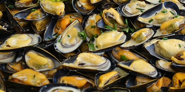 Dissabte 2 de maig 2026, el Casal del Conflent organitza el seu quaranta-sisè taller de cuina catalana, amb col·laboració amb la Cristina Riera de l’Hostal de Nogarols, cuinera i formadora. [&hellip;]