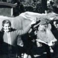 S’acaba de publicar en versió bilingüe el llibre d’en Pierre Planes “Fa pas gaire temps… Un vilatge de muntanya i la seua escola, 1935-1945” (primera edició el 1984). Ha estat [&hellip;]